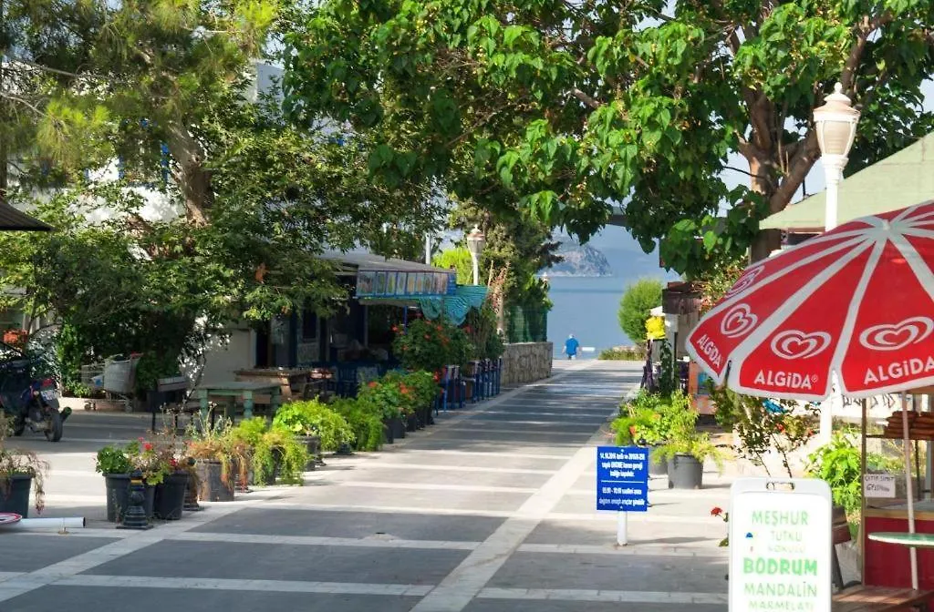 Bodrum Horizon Villas